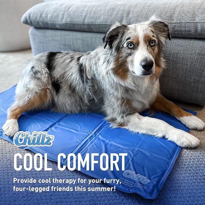 Chillz Dog Cooling Mat, Medium - Pressure Activated Cooling Mat for Dogs and Cats - No Water or Refrigeration Needed - Non-Toxic Gel Cooling Pad, Ideal for Home and Travel - 19.5 x 15.7 Inches