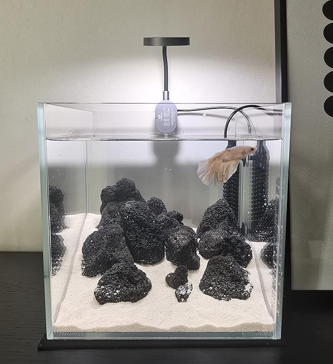 Small Nano Tall Rimless Tank, Small Glass Fish Tank, Small Betta Fish Tank, Small Aquarium, min Aquarium, Betta Tank (2 Gallon 7.8x7.8x7.8inch/20x20x20cm)