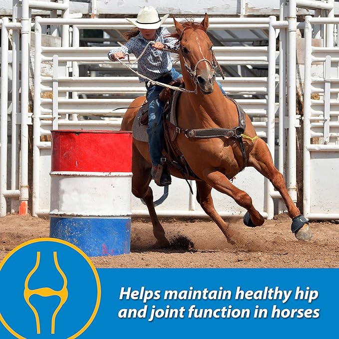 Farnam Fluidflex Liquid Joint Supplement for Horses, Helps Maintain Healthy Hip & Joint Function, 32 Ounces 32 Day Supply