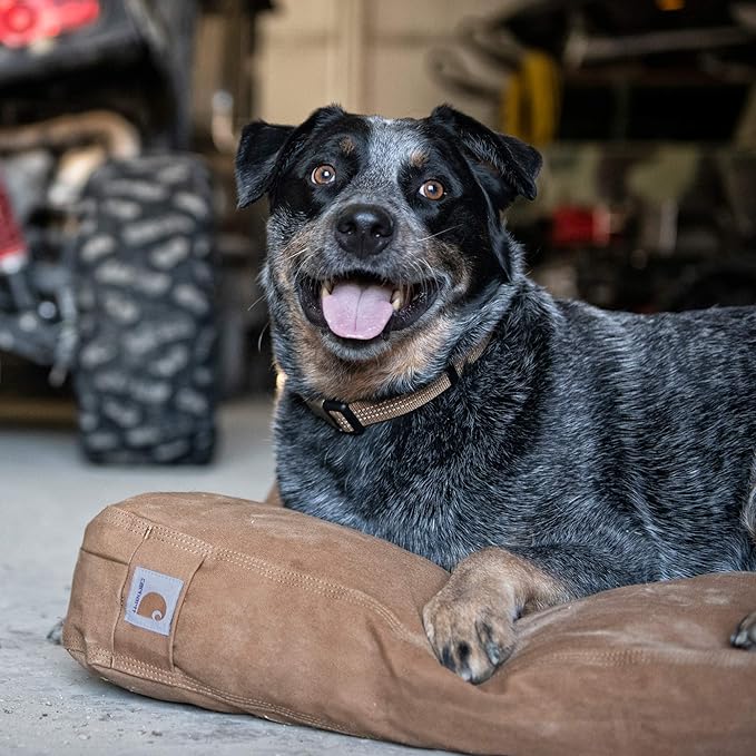 Carhartt Gear P0000272 Medium Pet Bed - One Size Fits All - Dark Brown, 28.0"L x 20.0"W x 4.3"Th