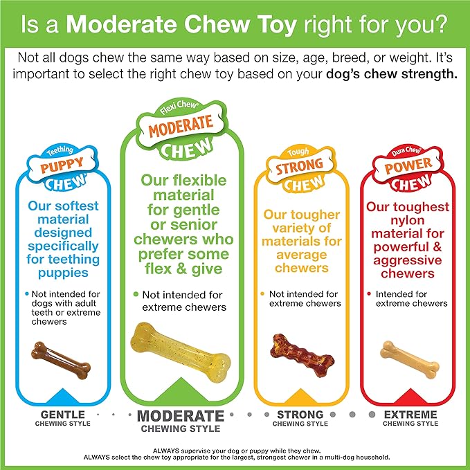 Nylabone Moderate Chew FlexiChew Bone Peanut Butter & Bacon XX-Small/Tiny (2 Count)
