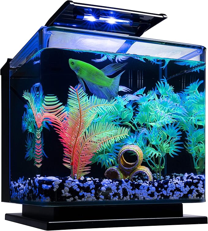 GloFish Betta Aquarium Kit 3 Gallons, Includes LED Lighting And Filter