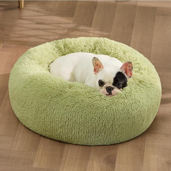 Bedsure Calming Dog Bed for Small Dogs - Donut Washable Small Pet Bed, Round Anti-Slip Fluffy Plush Faux Fur Large Cat Bed, Fits up to 25 lbs Pets, Green, 23 inches