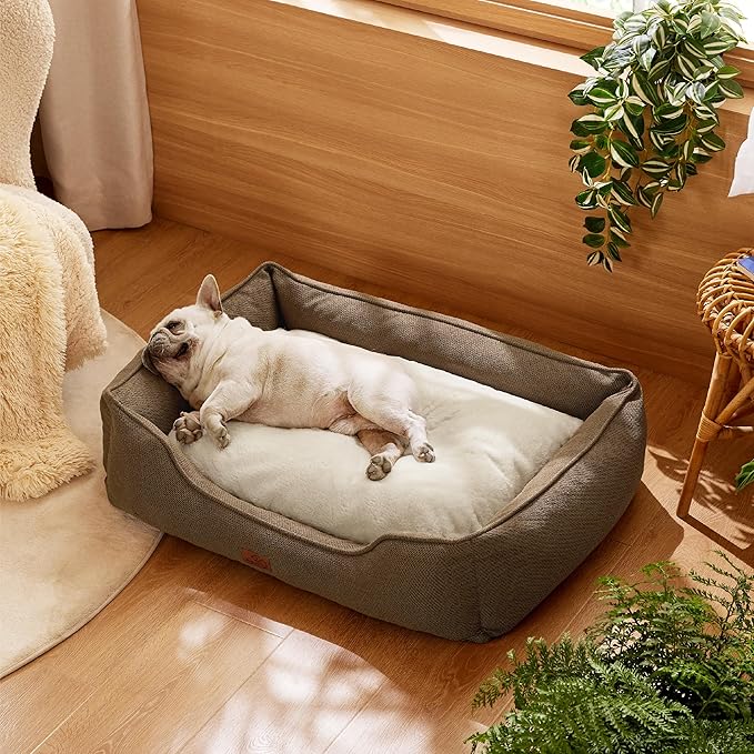 Bedsure Washable Dog Bed for Medium Dogs - Waterproof All-Season Foam Puppy Beds, Orthopedic Rectangle Cuddle Indoor Cat Beds with Removable Zipper Cover, 30x24x9inches, Brown