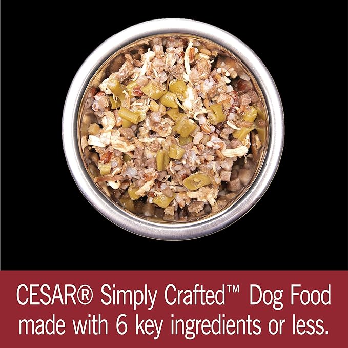 CESAR SIMPLY CRAFTED Adult Soft Wet Dog Food Meal Topper Beef, Chicken, Purple Potatoes, Green Beans & Red Rice, 1.3 oz. Tubs, (Pack of 10)