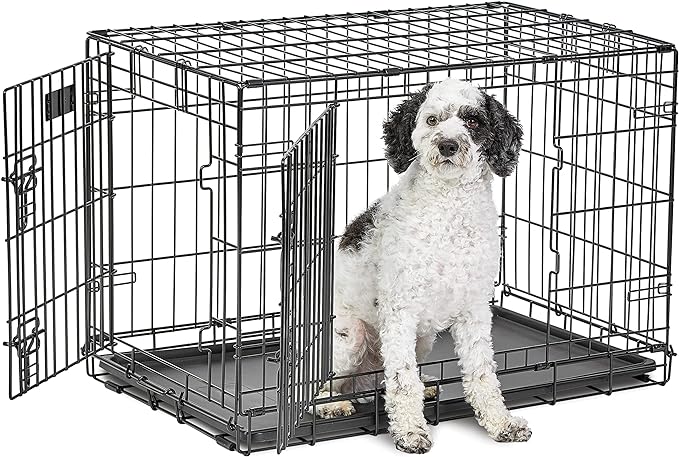 Medium Dog Crate | MidWest Life Stages 30" Double Door Folding Metal Dog Breed Crate | Divider Panel, Floor Protecting Feet & Dog Pan | 30.6L x 19.3W x 21.4H Inches