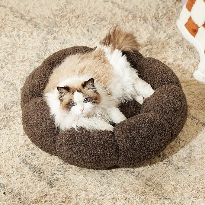 Lesure Calming Cat Beds for Indoor Cats - Cute Flower Pet Beds in Teddy Sherpa Plush, Donut Round Fluffy Puppy Bed, Non-Slip Extra Small Dog Bed Fits up to 15 lbs, Machine Washable, Espresso 20"