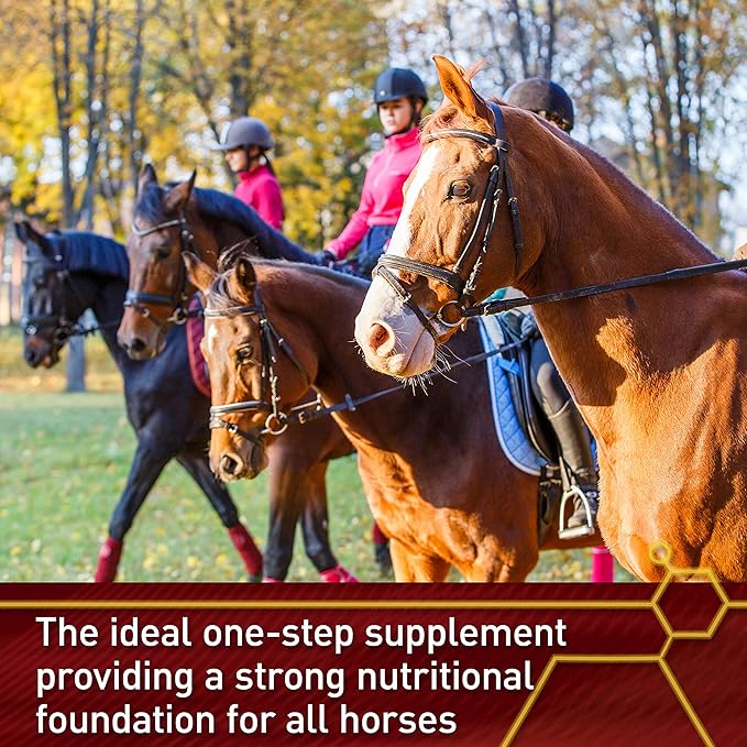 Pro Accel Health & Wellness Formula, Horse Supplement, 15 Pounds, 240-Day Supply