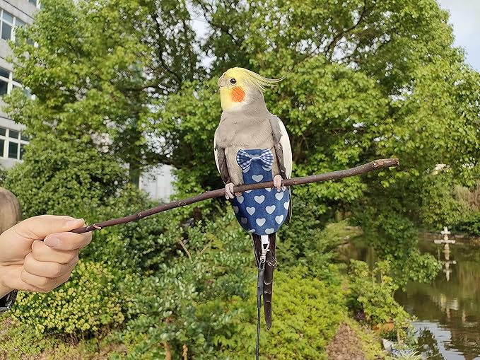 VANFAVORI Bird Diaper Harness Flight Suit Clothes with 80 Inch Flying Leash for Parrots Cockatiel Pet Birds Including A Cotton Pad, S Size, Denim Heart