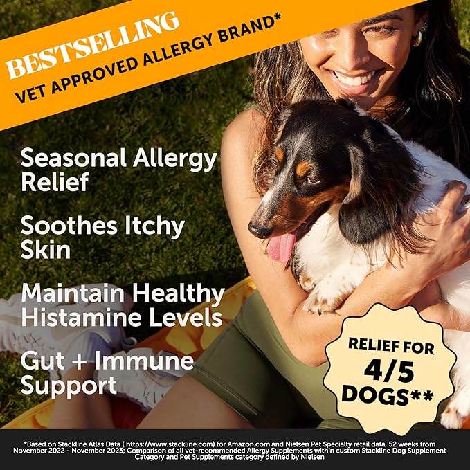 Pet Honesty Allergy Support Itch Relief for Dogs - Dog Allergy Relief Immunity Supplement - Dog Allergy Chews, Probiotics for Dogs, Seasonal Allergies, Skin and Coat Supplement - Salmon