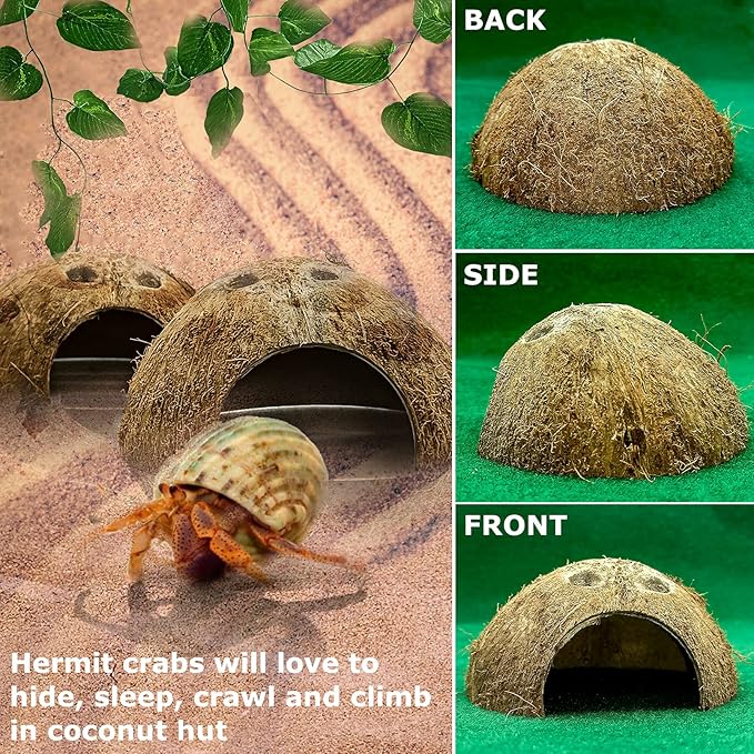 Hamiledyi Reptile Hideouts Natural Coconut Shells Hut Small Animal Hide Cave Hermit Crab Climbing Toys Lizard Habitat Decor Plant Leaves Decoration for Gecko Spider Snake Chameleon (4Pcs)