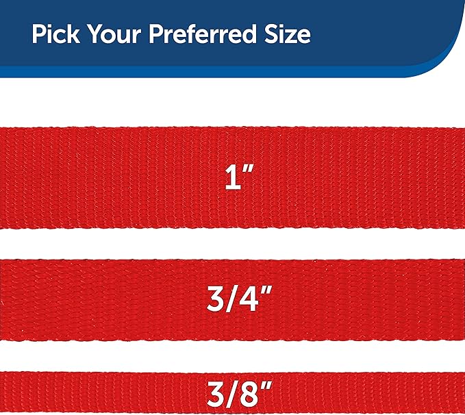 PetSafe Nylon Dog Leash – Strong, Durable, Traditional Style Leash with Easy to Use Bolt Snap – 1" x 4', Red