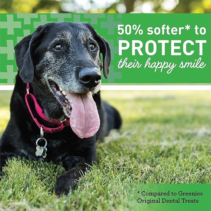 Greenies Aging Care Large Natural Dental Care Dog Treats, 27 oz. Pack (17 Treats)