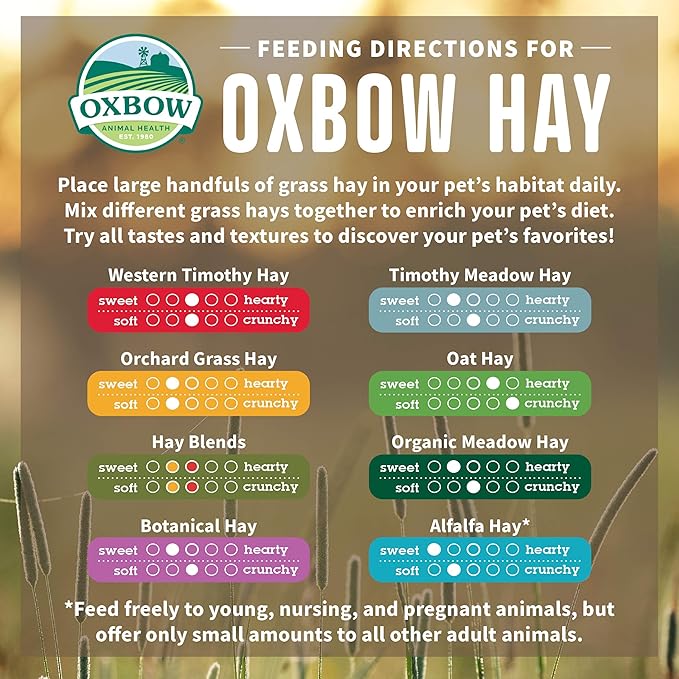 Oxbow Animal Health Alfalfa Hay, For Rabbits, Guinea Pigs, And Small Pets, Grown In The USA, Hand-Selected And Hand-Sorted, 15 Ounce