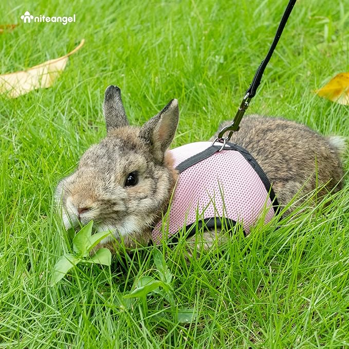 Niteangel Adjustable Soft Harness with Elastic Leash for Rabbits (XL, Pink)