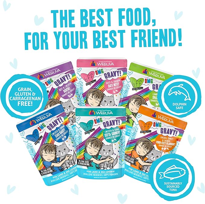 Weruva B.F.F. OMG - Best Feline Friend Oh My Gravy!, Variety Pack, Potluck O' Pouches, Wet Cat Food, 2.8Oz Pouches (Pack of 12)