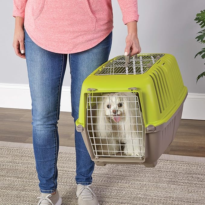 MidWest Homes for Pets Spree Travel Pet Carrier, Dog Carrier Features Easy Assembly and Not The Tedious Nut & Bolt Assembly of Competitors, Ideal for Small Dogs & Cats