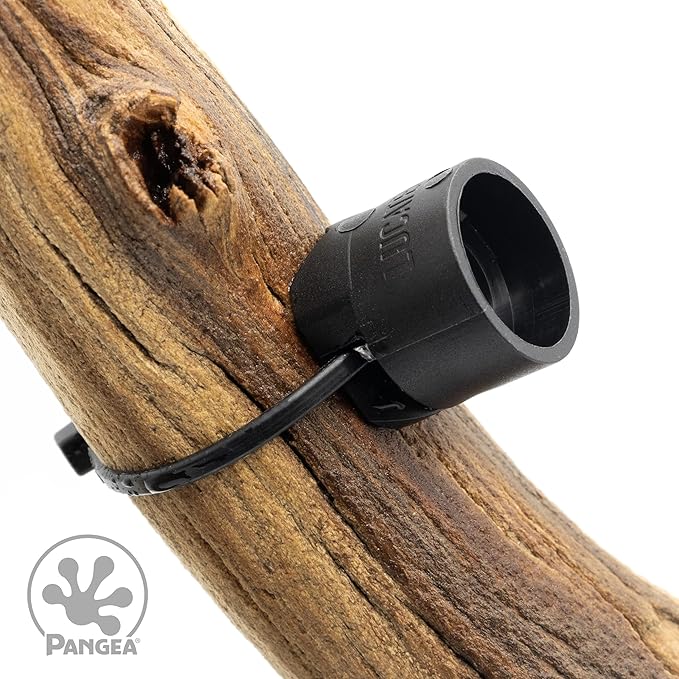 Pangea Microdish Branch & Surface Mount Kit for Gecko Feeding (L Branch Mount)
