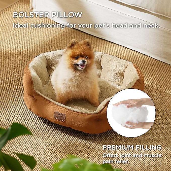 Bedsure Dog Beds for Small Dogs - Round Cat Beds for Indoor Cats, Washable Pet Bed for Puppy and Kitten with Slip-Resistant Bottom, 25 Inches, Terracotta