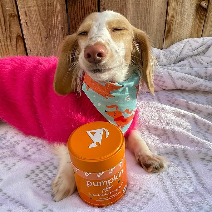 Finn Pumpkin Plus: Fast-Acting Digestive Relief for Loose Stool, Constipation, and Sensitive Stomachs | Superfood Meal Topper Powder for Dogs