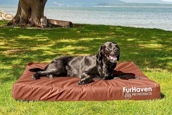 Furhaven Water-Resistant Orthopedic Dog Bed for Large Dogs w/ Removable Washable Cover, For Dogs Up to 125 lbs - Indoor/Outdoor Logo Print Oxford Polycanvas Mattress - Chestnut, Jumbo Plus/XXL