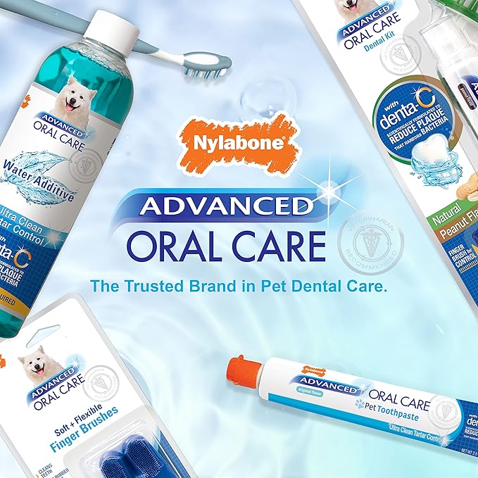Nylabone Advanced Oral Care Foaming Dog Tartar Remover - Dog Breath Freshener & Teeth-Cleaning Foam (4 oz.)