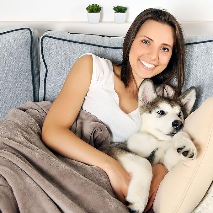 Waterproof Dog Blanket - 60x70-Inch Reversible Sherpa Dog Blanket for Couch, Bed, or Car - Protects from Spills, Stains, or Pet Fur by PETMAKER (Gray)