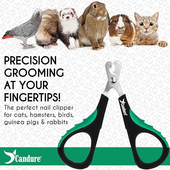 Candure Cat Nail Clippers for Indoor Cats, Rabbits, Hamsters, Birds with Precise Angled Edges to Ensure Easy & Safe Trimming Stainless Steel Cat Nail Trimmer for At-Home Cat Grooming