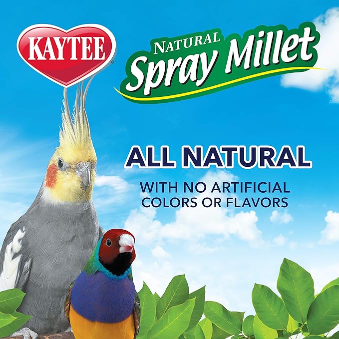 Kaytee Spray Millet Treat for Pet Birds, 5 Pound