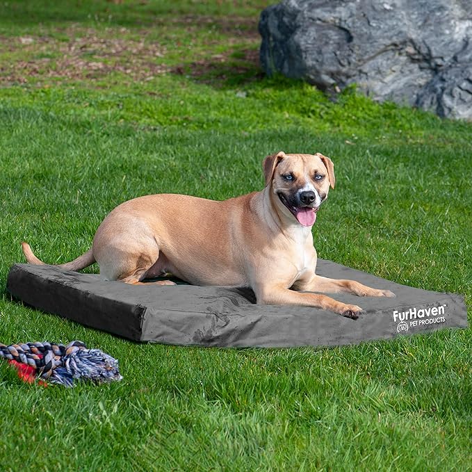 Furhaven Water-Resistant Cooling Gel Dog Bed for Large/Medium Dogs w/ Removable Washable Cover, For Dogs Up to 55 lbs - Indoor/Outdoor Logo Print Oxford Polycanvas Mattress - Stone Gray, Large