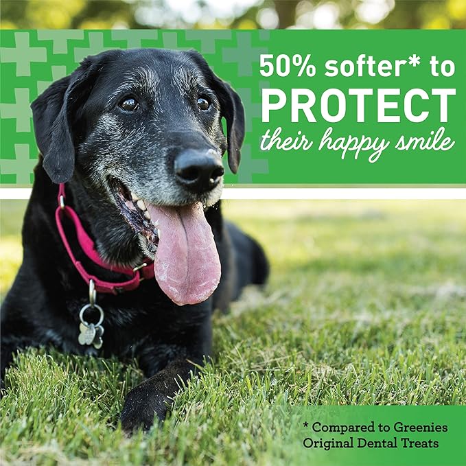 Greenies Aging Care TEENIE Natural Dental Care Dog Treats, 27 oz. Pack (96 Treats)
