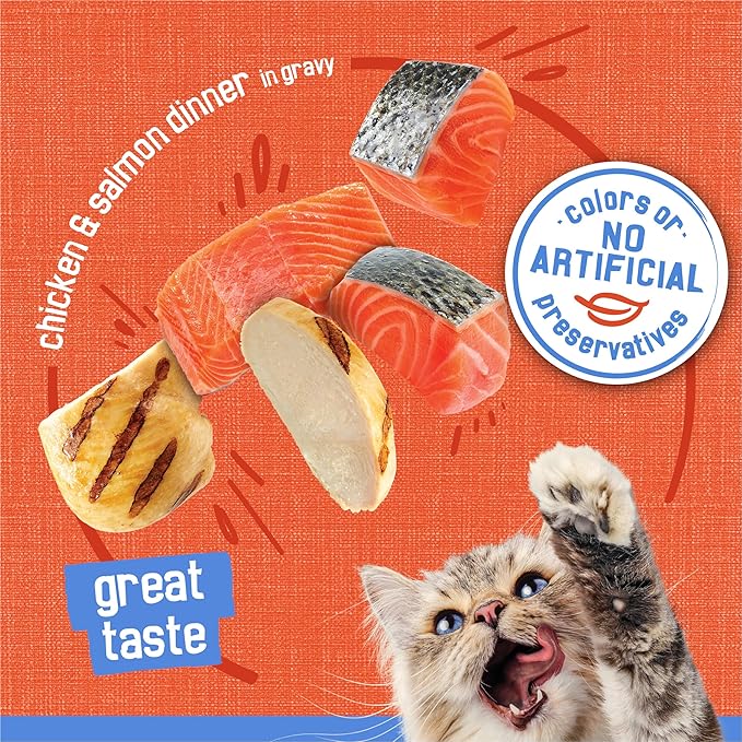 Purina Friskies Gravy Wet Cat Food, Shreds Chicken & Salmon Dinner in Gravy - (Pack of 24) 5.5 oz. Cans