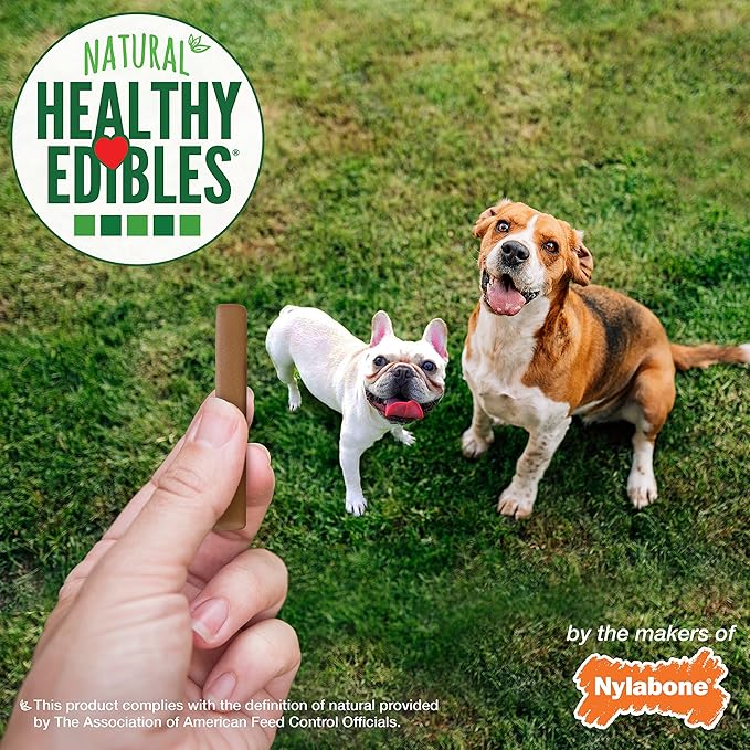 Nylabone Healthy Edibles Chewy Sticks Dog Training Treats Beef 12 oz.