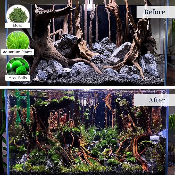 majoywoo Natural Large Coral Driftwood for Aquarium Decor Reptile Decor, Assorted Driftwood Branch 9-14" 2 Pcs, Fish Tank Decoration…