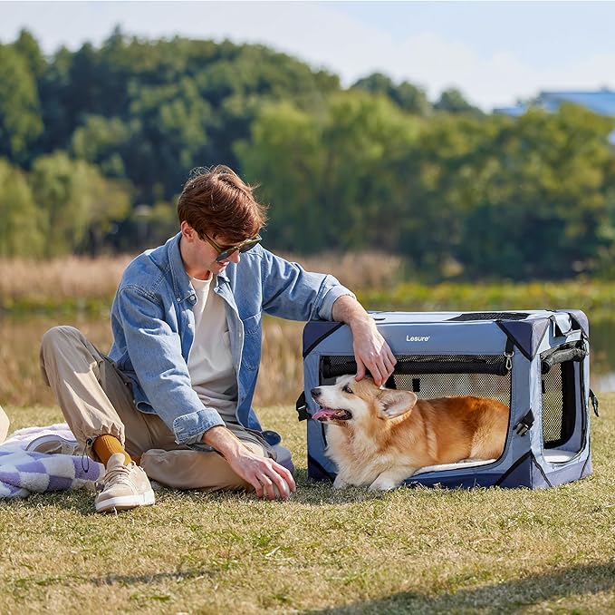 Lesure Collapsible Dog Crate - Portable Dog Travel Crate Kennel for Small Dog, 4-Door Pet Crate with Durable Mesh Windows, Indoor & Outdoor (Blue)
