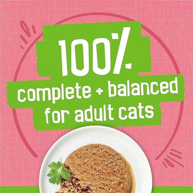 Purina Friskies Wet Cat Food Pate, Salmon Dinner - (Pack of 24) 5.5 oz. Cans
