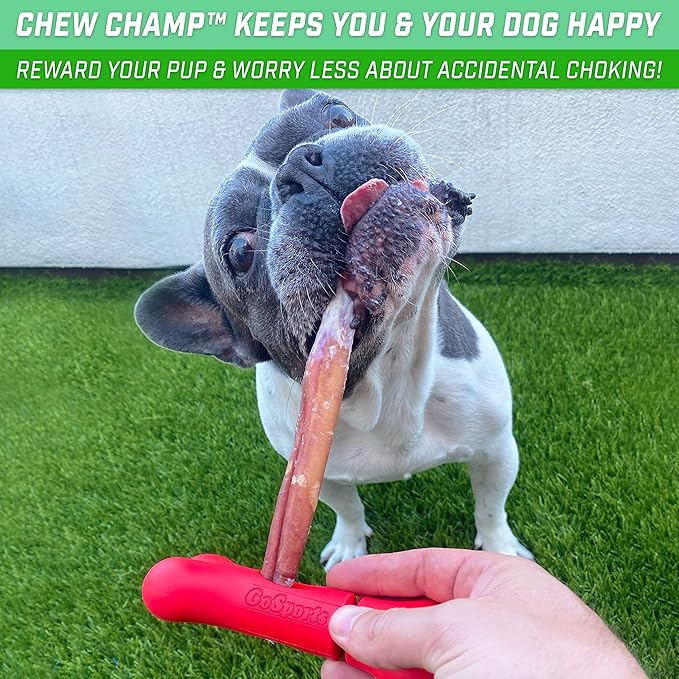 GoSports Chew Champ Bully Stick Holder for Dogs - Securely Holds Bully Sticks to Help Prevent Choking - 6 in or 8 in Size