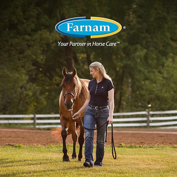 Farnam Endure Roll-On Fly Repellent for Horses, for Sensitive Areas, 3 Ounces (Pack of 2)