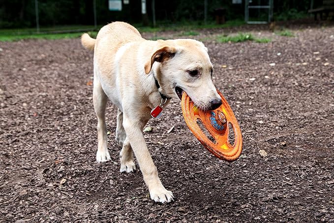 Hartz Tuff Stuff Toss Around Plush Frisbee Flyer Dog Toy - Medium/Large