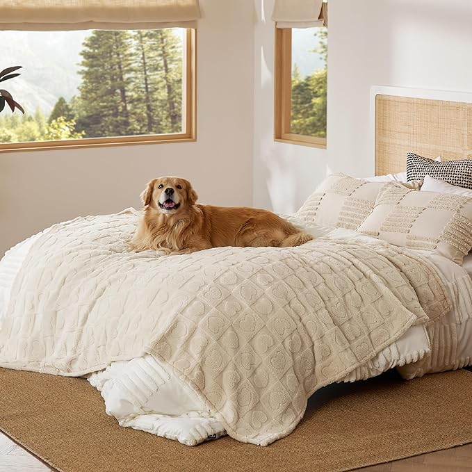 Bedsure Dog Blanket for Large Dogs Washable - Soft Fluffy Puppy Blanket for Bed with Premium 300GSM Coral Fleece, Cozy Calming Cat Blankets for Indoor Cats, Fuzzy Pet Blanket for Doggy, White, 50x60IN
