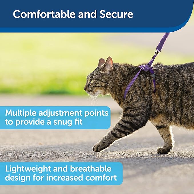 PetSafe Come with Me Kitty Harness and Bungee Leash, Harness for Cats, Medium, Lilac/Bright Purple