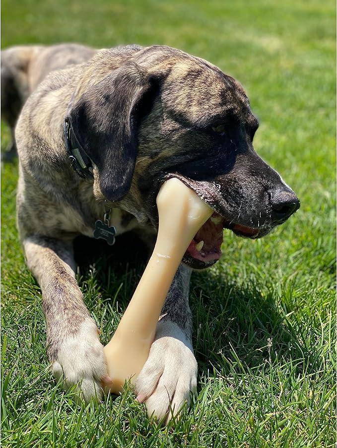 Nylabone Power Chew Monster Bone Big Dog Chew Toy, Dog Toys for Aggressive Chewers, Chicken Flavor, XX-Large/Monster (1 Count)