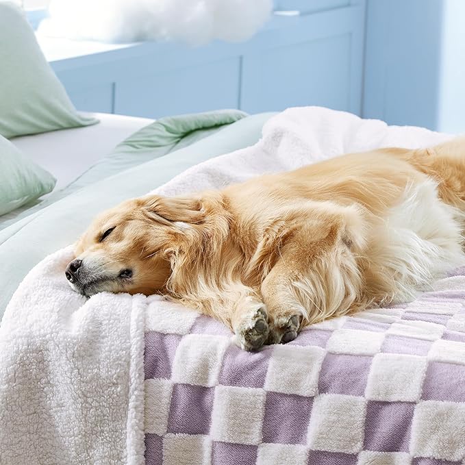 Lesure Waterproof Dog Blanket for Large Dogs - Washable Double Sided Dog Blankets with Warm Jacquard Shag and Soft Sherpa Fleece, Pet Cat blanket for Queen Bed Protection, 3D Textured Checks, Purple