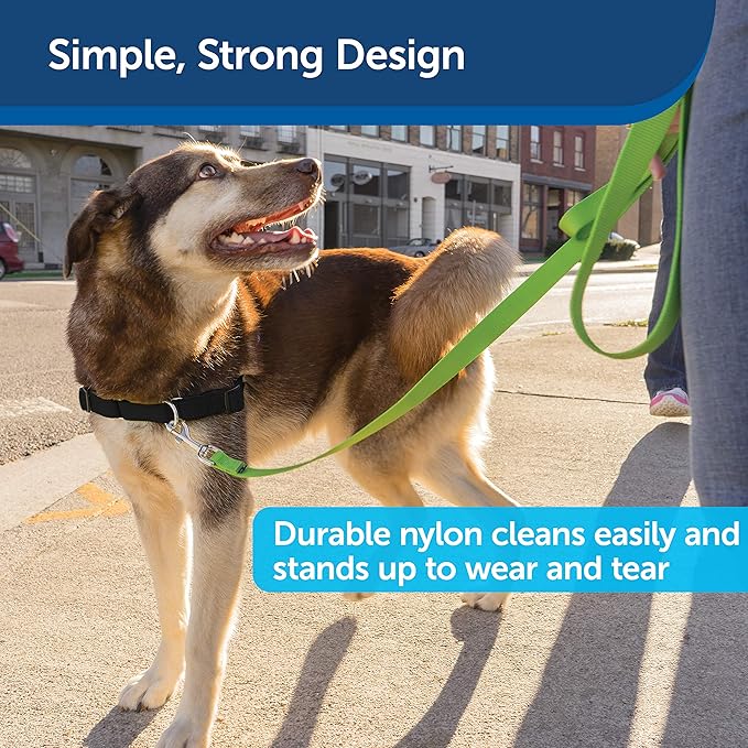 PetSafe Nylon Dog Leash - Strong, Durable, Traditional Style Leash with Easy to Use Bolt Snap - 1 in. x 6 ft., Apple Green