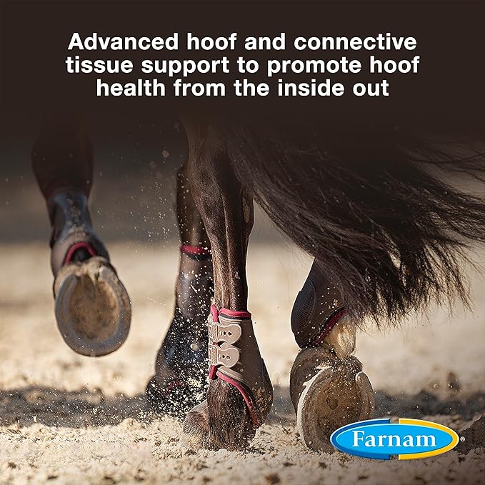 Farnam Horseshoer's Secret EXTRA STRENGTH Hoof Supplements & Connective Tissue Supplement, Promotes strong, healthy hooves, tendons & ligaments, 3.75 lbs., 30 day supply