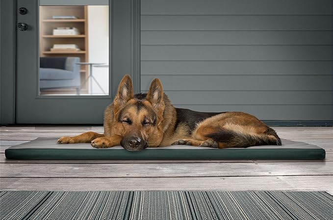 Furhaven Water-Resistant Dog Bed for Large Dogs w/ Removable Washable Cover, Perfect for Crates & Kennels, For Dogs Up to 90 lbs - Two-Tone Reversible Crate Pad - Green/Gray, Extra Large