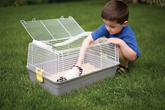 Prevue Pet Products Universal Pet Carrier, Gray, Small (Model: 1306)