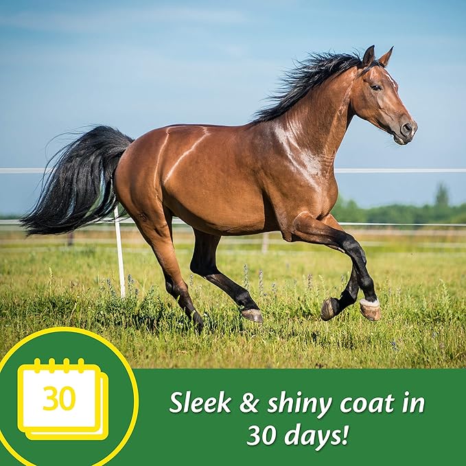 Farnam Super 14 Healthy Skin & Coat Supplement for Horses, Keeps Coats Shiny & Gleaming Year-Round 5 Pound, 80 Day Supply