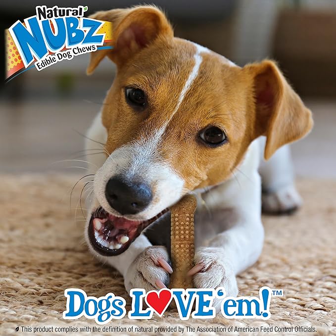 Nylabone Nubz WILD Natural Edible Chew Treats for Dogs, Made in USA, Bison Flavor, Small - Up to 25 lbs. (12 Count)