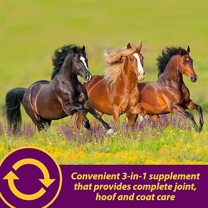 Horse Health Joint Combo Hoof & Coat, Convenient 3-in-1 Horse Joint Supplement Provides Complete Joint, Hoof and Coat Care, 3.75 lbs., 30 Day Supply